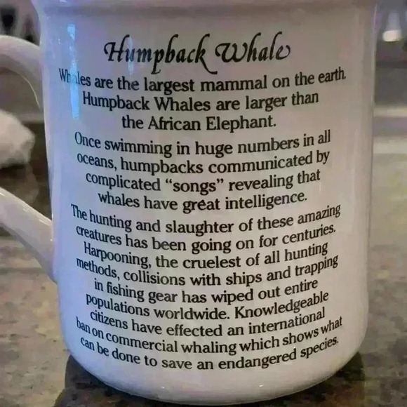 Cape Shore Four Collector Coffee Mugs - Picture 6 of 6